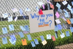 Why Do You Walk Fence 2013-210